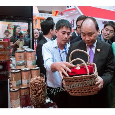 Bạn đã thật sự mua đúng cafe chồn chưa? Làm sao để biết cà phê chồn là thật.