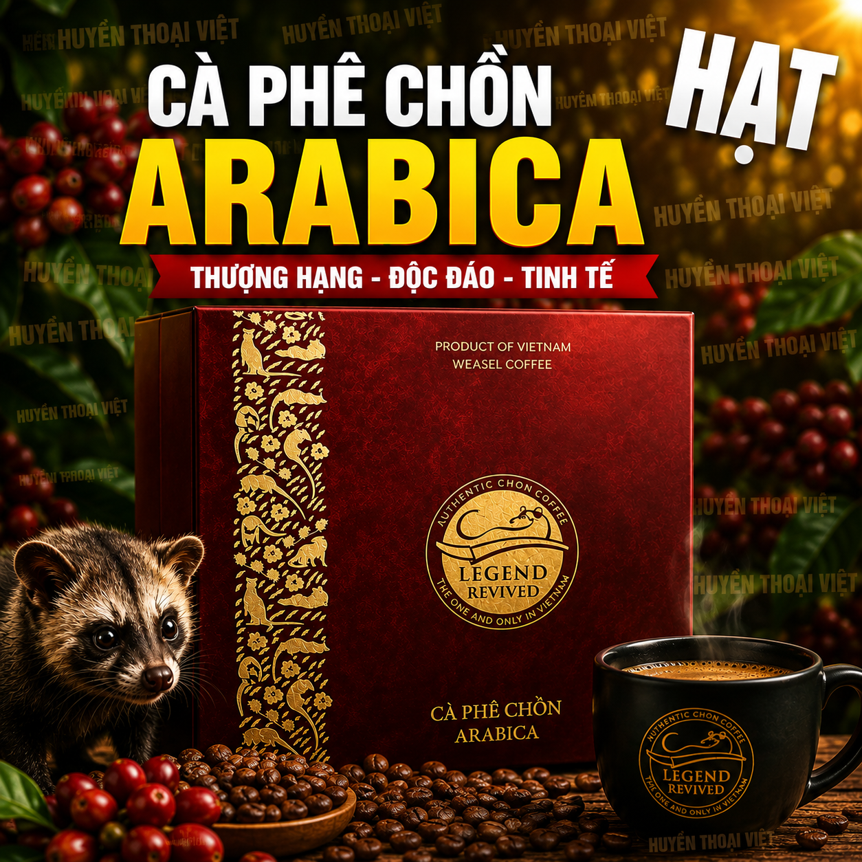 Cà phê Chồn Arabica - HẠT (Hộp 250 gam) - Tặng Túi