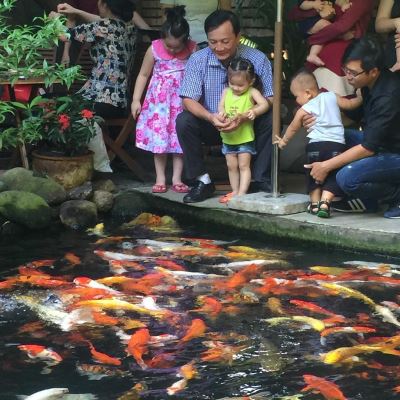 TẠI SAO SÀI GÒN CÓ NHIỀU QUÁN CÀ PHÊ ĐẾN VẬY?